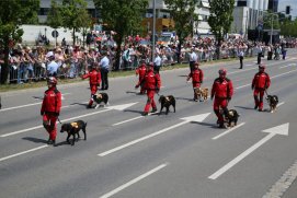 Fédération Nationale des Pompiers